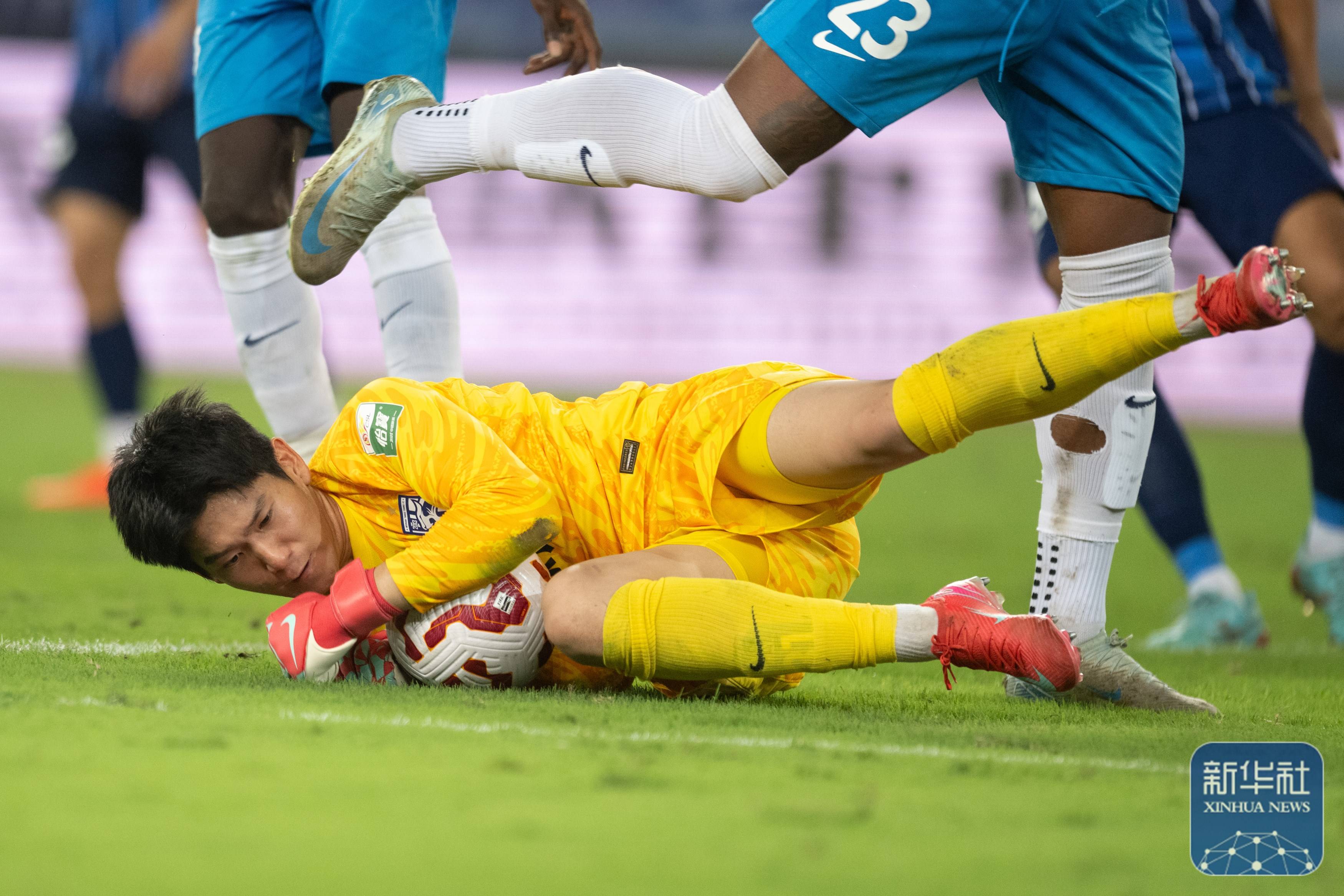 他们采用了 他们采用了